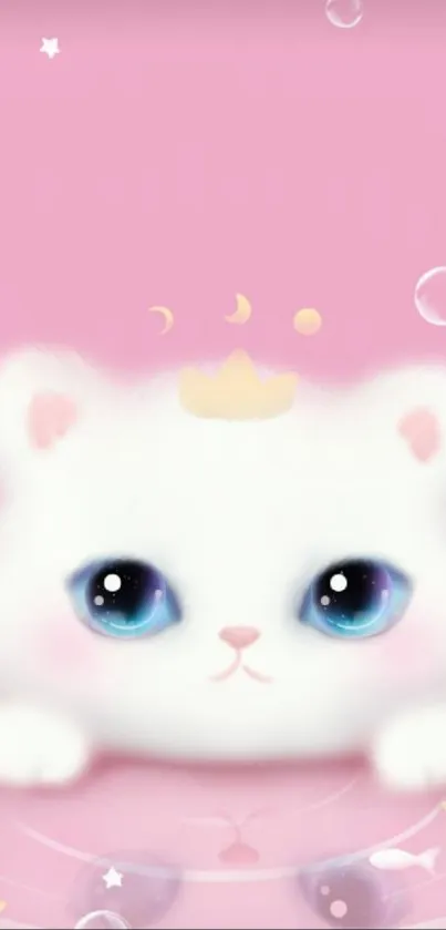 Adorable white kitten with blue eyes on pink background.