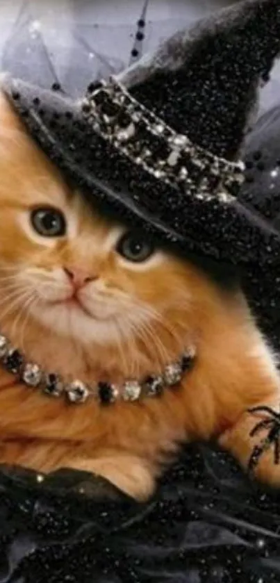 Adorable kitten in witch hat with glamour beads and black sparkly backdrop.