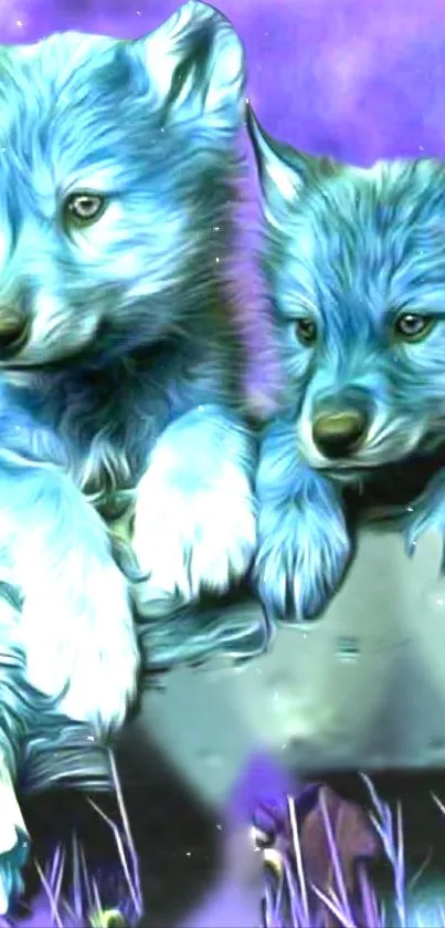 Two cute wolves in a blue and purple artistic wallpaper.