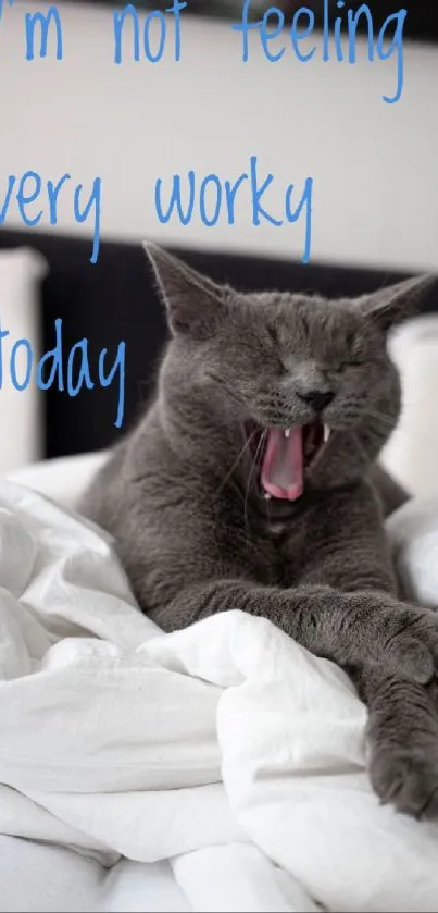 Yawning gray cat on bed with humorous text.