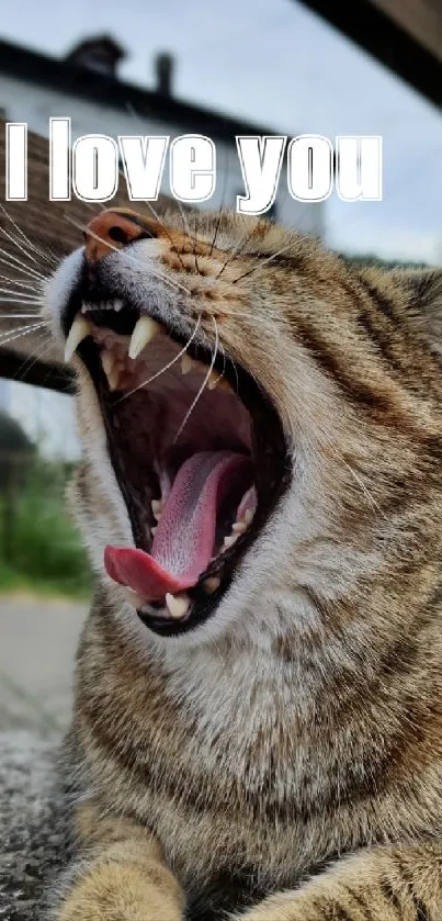 Yawning cat with 'I love you' text wallpaper.