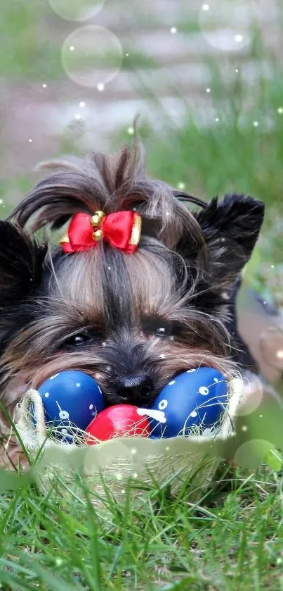 Yorkshire Terrier puppy with red bow, surrounded by grass and colorful eggs.