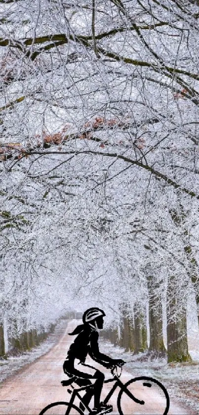 Cyclist rides through snowy, tree-lined winter forest.