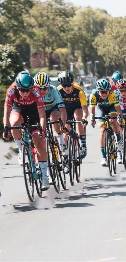 Cyclists racing on a scenic road surrounded by greenery.