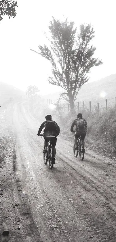 Two cyclists on a foggy country road in a monochrome setting.