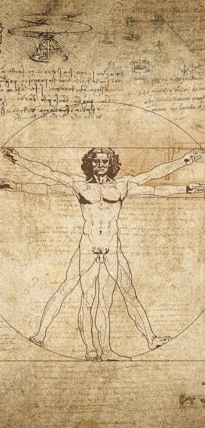 Leonardo da Vinci's Vitruvian Man sketch as mobile wallpaper.