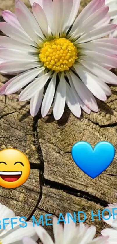 A daisy on rustic wood with emojis and text.