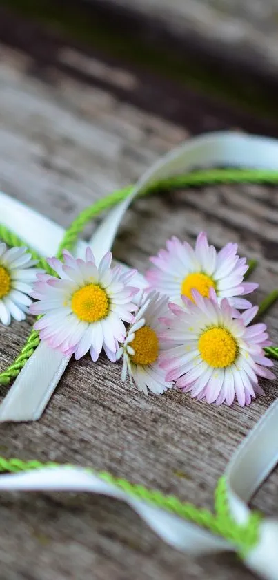 Daisy flowers with ribbons on rustic wood.