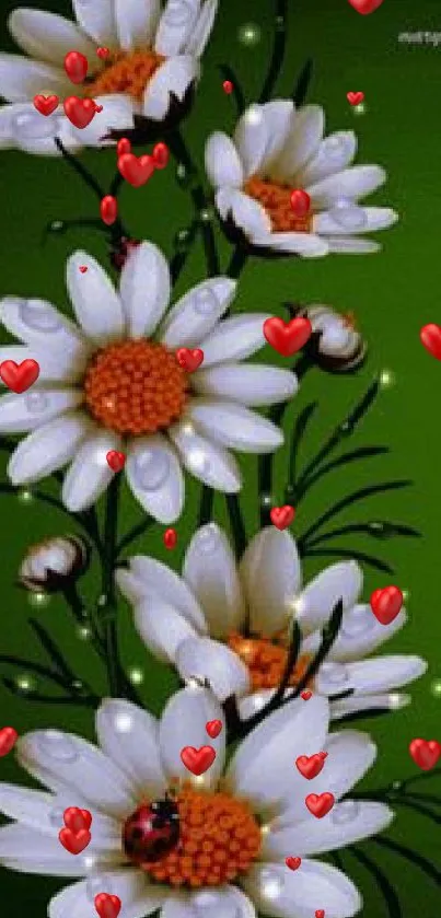 Mobile wallpaper with white daisies on a green background.