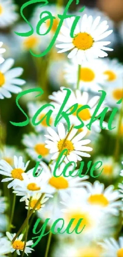 Daisy flowers with green love text background.