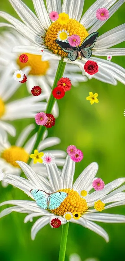 Vibrant daisy garden with butterflies on a green background wallpaper.