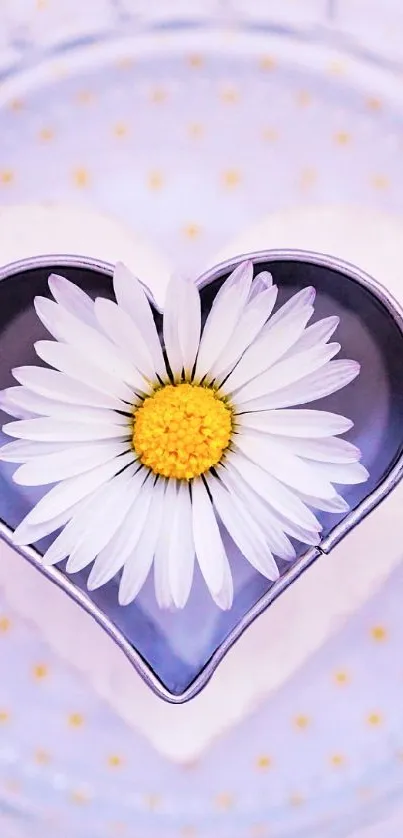 Heart-shaped daisy on a lavender backdrop with gentle patterns.