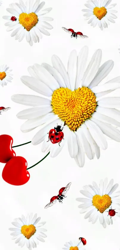 Mobile wallpaper with heart-shaped daisy flowers and ladybugs.