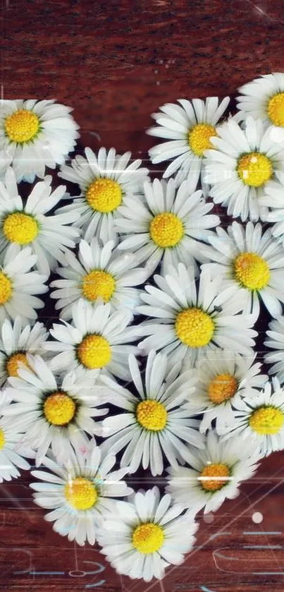 Heart-shaped daisy arrangement on wood background.