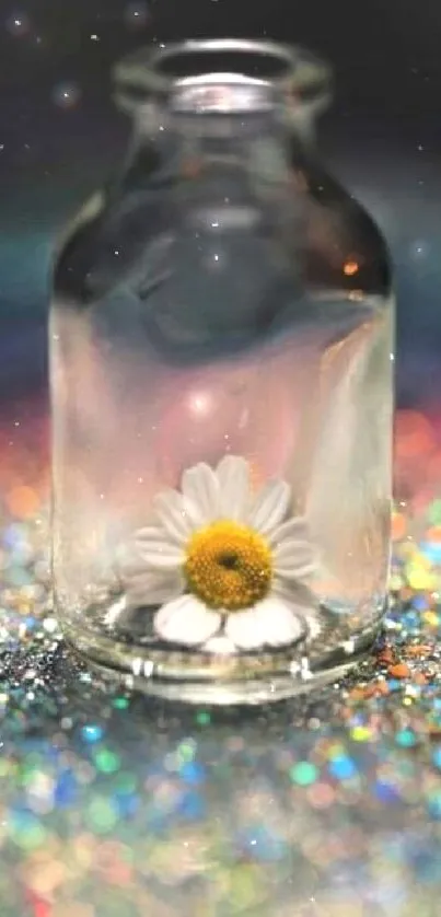 A daisy in a glass bottle with a colorful bokeh backdrop.