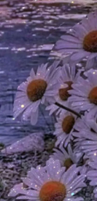 Purple-tinted daisies by a shimmering lake at twilight.