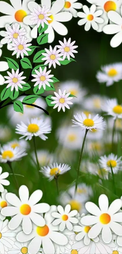 Mobile wallpaper with daisies in a lush green meadow.