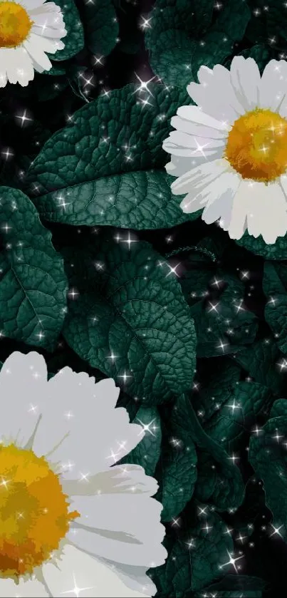 Daisy flowers with dark green leaves and sparkles on mobile wallpaper.