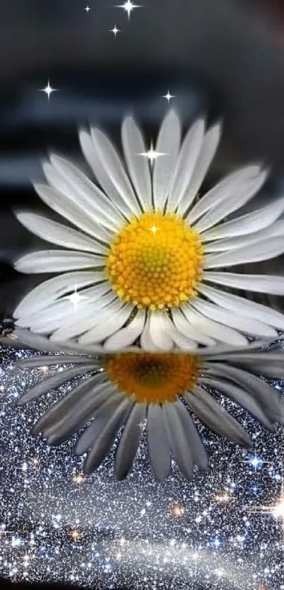 Daisy reflecting on sparkling water with glittering stars.