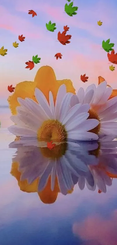 Daisy flowers reflecting in water against a colorful sunset sky.