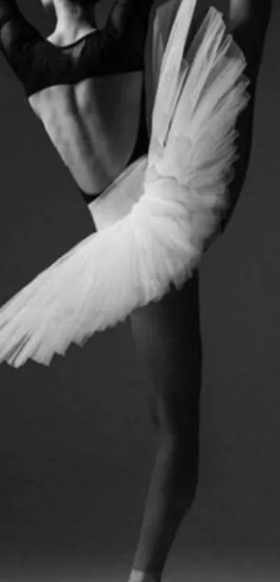 Dance Footwear Feather Live Wallpaper