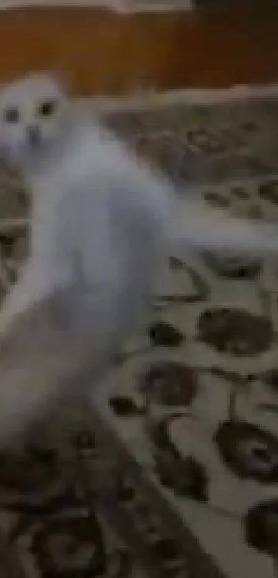 Cat dancing on a beautifully patterned carpet.