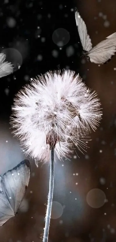 Dandelion with butterflies in serene nature wallpaper.