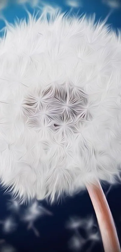 Close-up of a fluffy dandelion on a blue background.