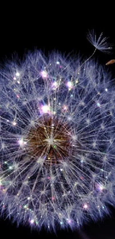 Elegant dandelion against a dark background with sparkling details.