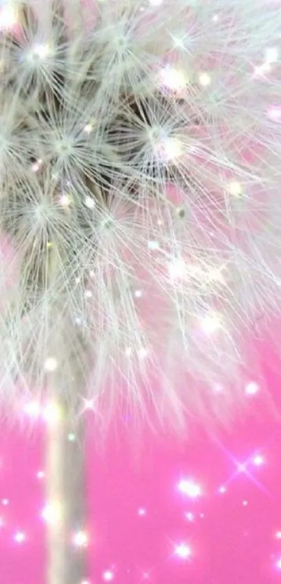 Dandelion against a pink sparkly background mobile wallpaper.