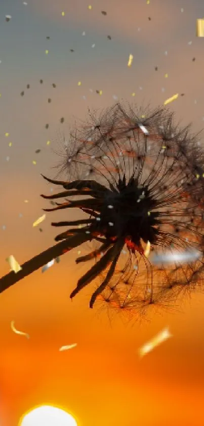 Dandelion silhouette with sunset and sparkles.