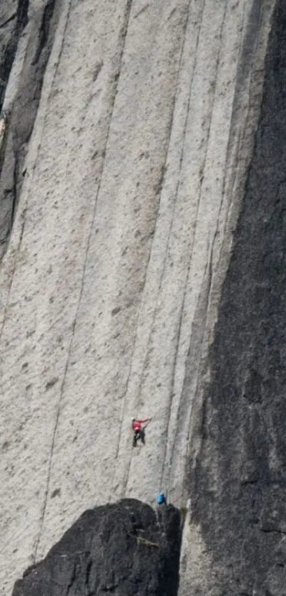 Climber scaling a steep rocky cliff with textured gray surface.