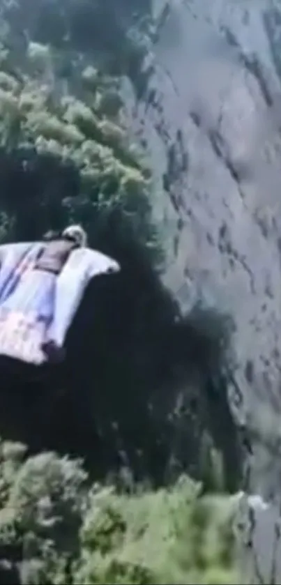 Wingsuit flier descends past a rocky cliff wall with trees below.