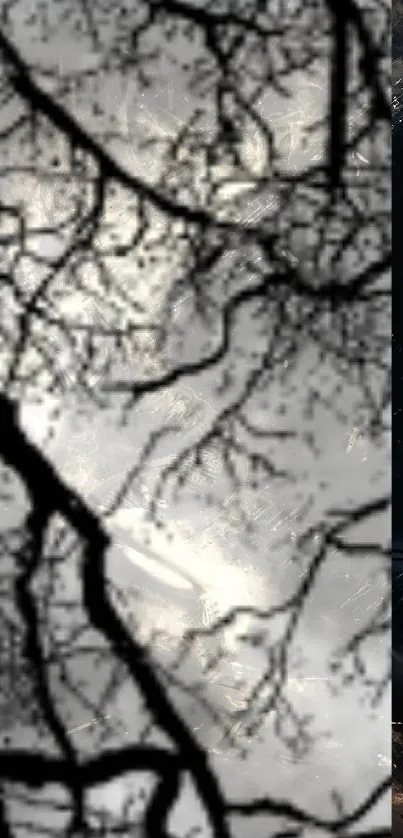 Dark branches silhouette on a mystical sky in mobile wallpaper.