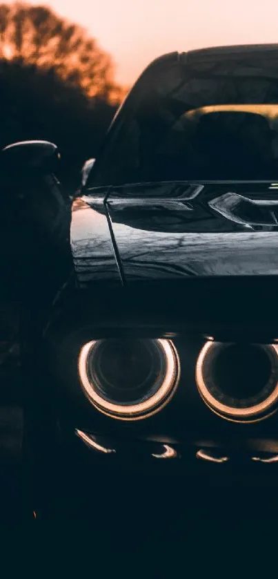 Dark sports car silhouette against a rustic sunset.