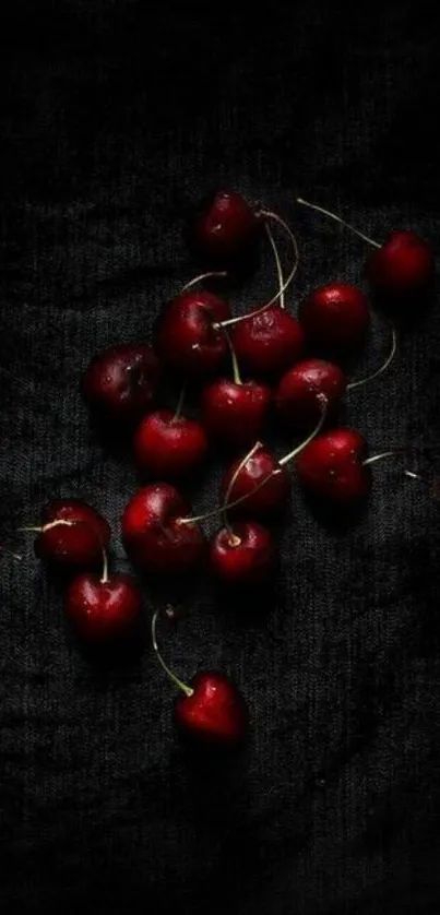 Elegant dark cherries on a black background wallpaper.