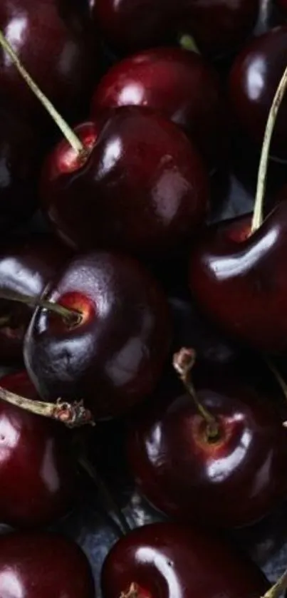 Dark red cherry fruit wallpaper with vibrant colors and juicy appearance.