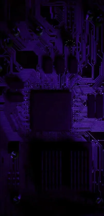 Futuristic dark circuit board wallpaper with purple hues.