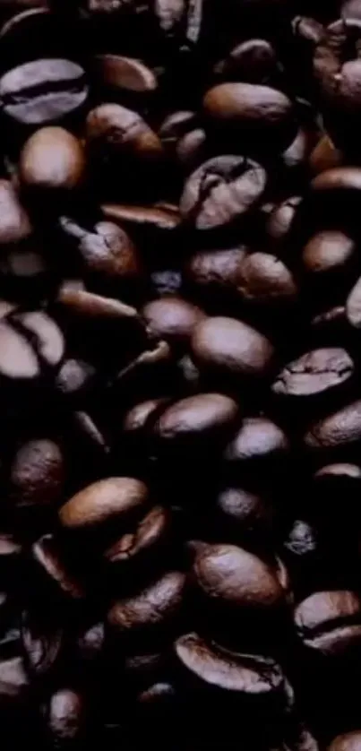 Close-up of dark roasted coffee beans wallpaper.