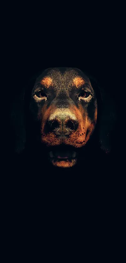 Dark-themed dog portrait mobile wallpaper