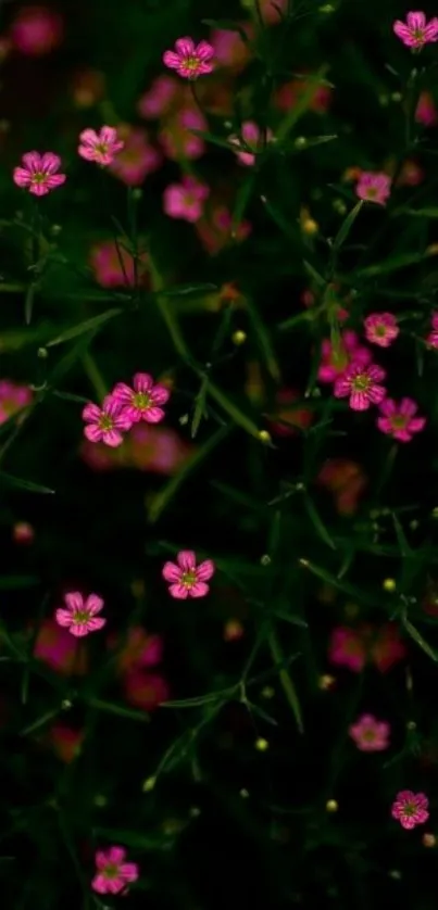 Mobile wallpaper with pink flowers on dark green.