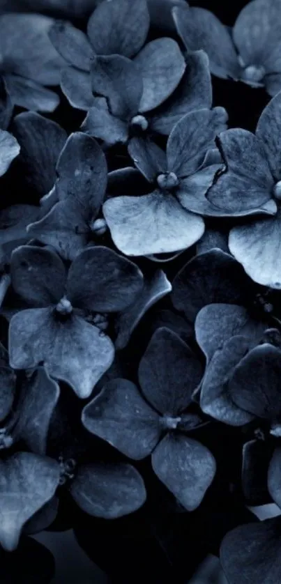 Dark floral wallpaper with blue petals, creating a moody and elegant ambiance.