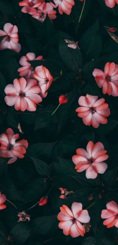 Dark floral wallpaper with pink flowers and green leaves.