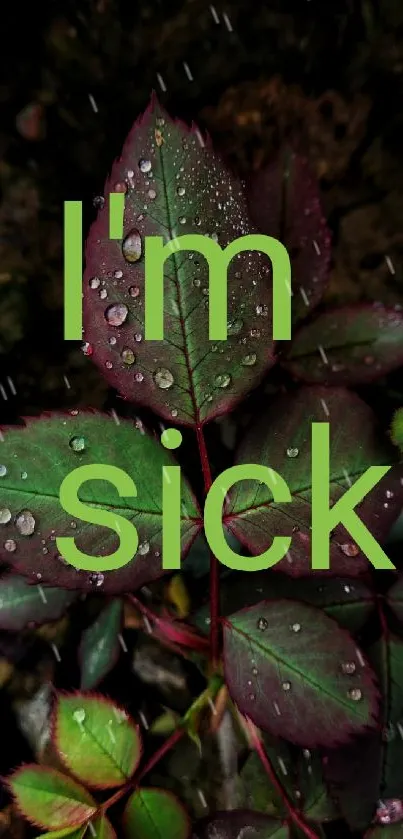 Dark green leaves with dewdrops and text overlay.