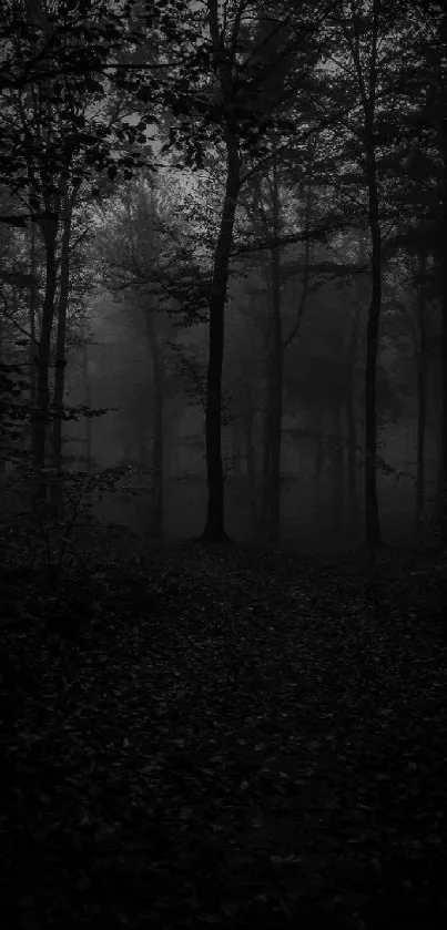 Mysterious dark forest mobile wallpaper with silhouetted trees.