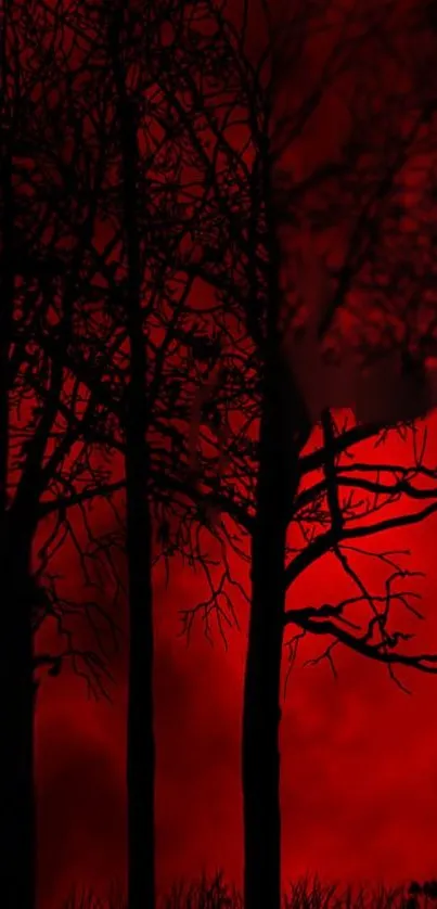 Dark silhouetted trees against a red sky wallpaper.