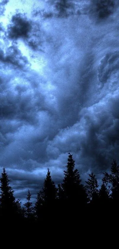 Dark forest silhouette under dramatic stormy sky with blue clouds.