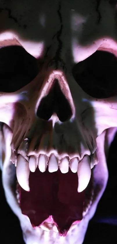 Dark gothic skull with eerie lighting mobile wallpaper.