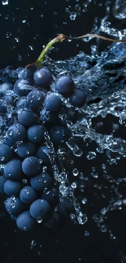 Dark grapes with dynamic water splash on a mobile wallpaper.