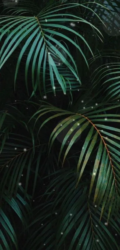 Wallpaper with dark green tropical leaves and lush foliage.